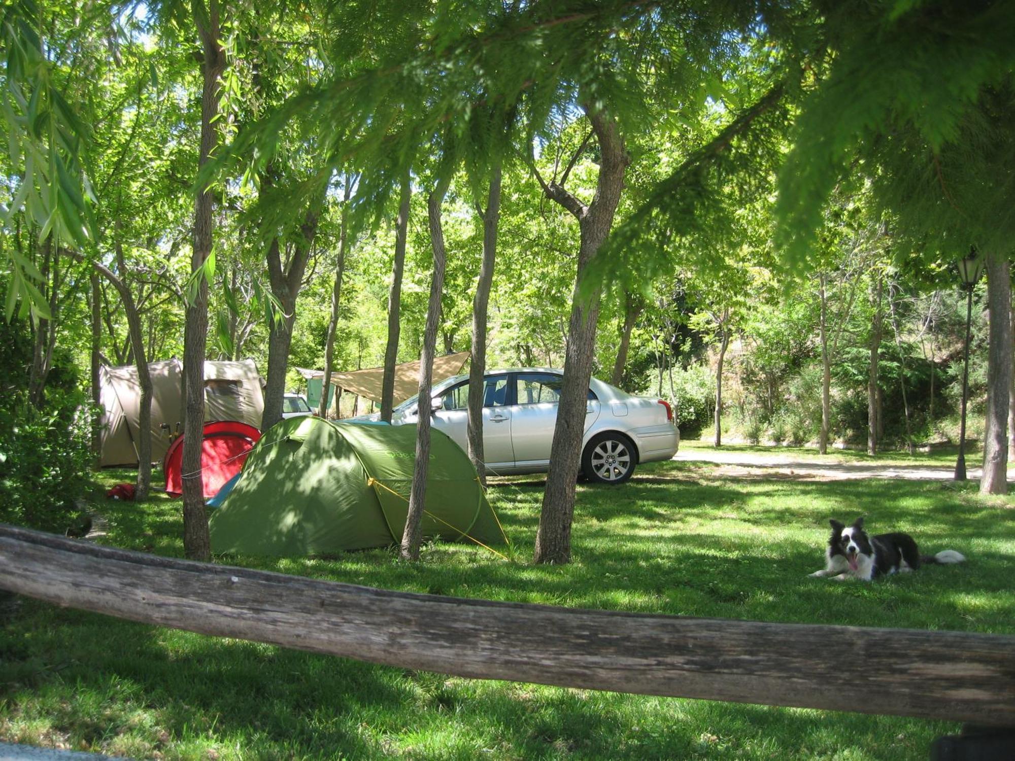 Camping Trevelez Bagian luar foto