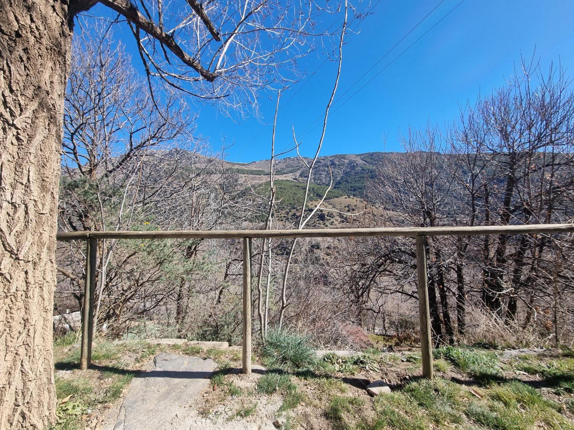 Camping Trevelez Bagian luar foto